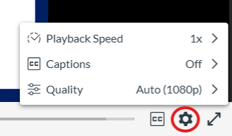 Video Settings Button